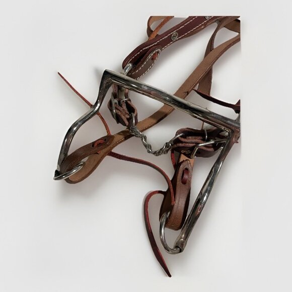 NEW Leather Horse/Pony Headstall Bridle Halter Combo w/ Martingale Beige Tack - Picture 2 of 8